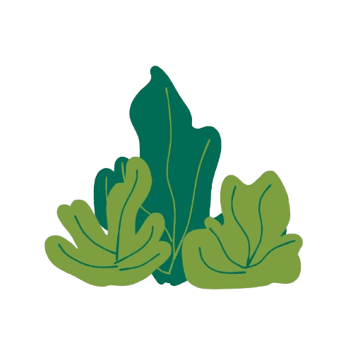 Underwater seaweed plant